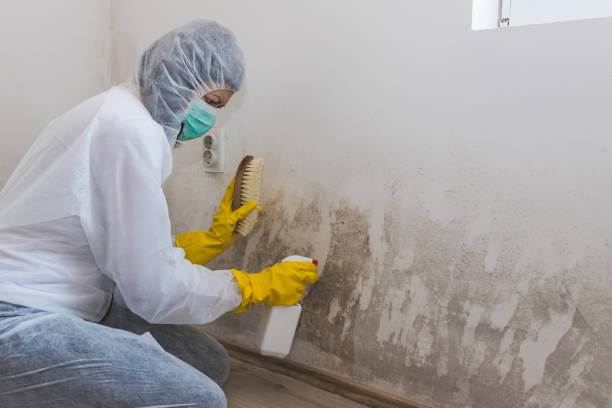 Best Mold Testing  in Warm Springs, OR