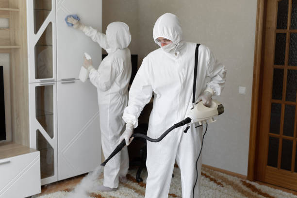 Best Toxic Mold Removal  in Warm Springs, OR