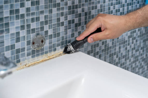 Best Office Mold Removal Services  in Warm Springs, OR