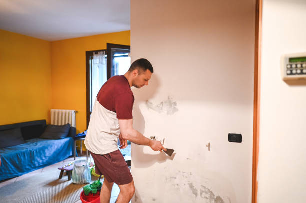 Best Home Mold Removal  in Warm Springs, OR