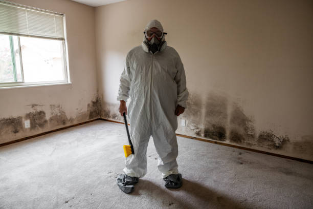 Best Crawl Space Mold Removal  in Warm Springs, OR